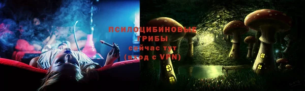 2c-b Горняк