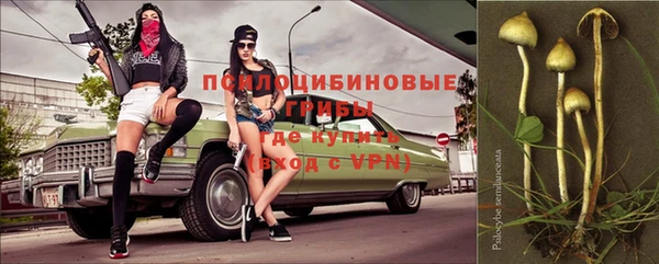 2c-b Горняк
