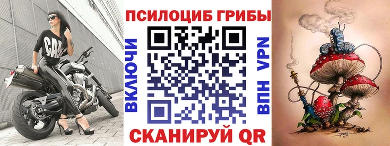 что такое наркотик  Донской  Галлюциногенные грибы MAGIC MUSHROOMS 